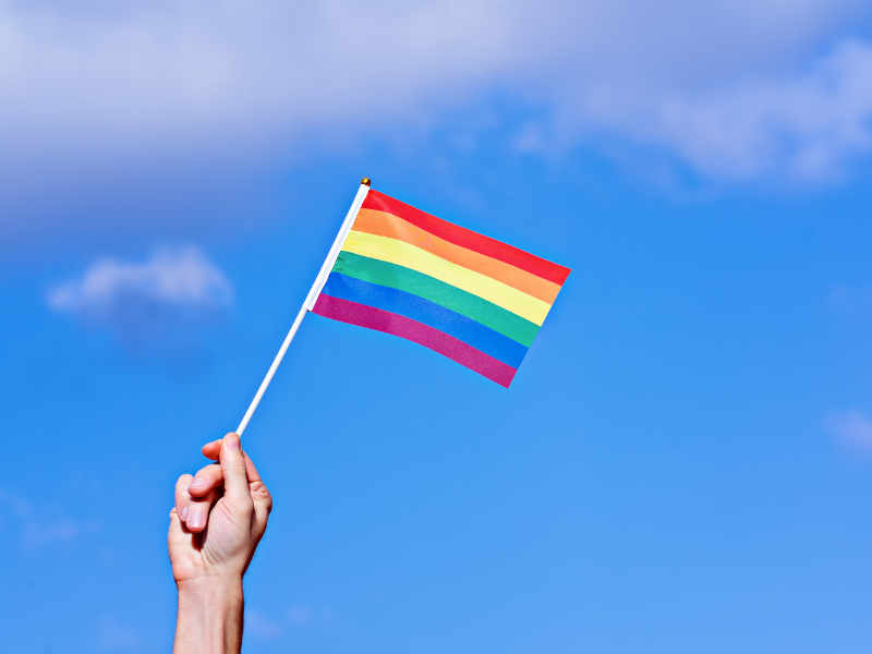 Evolution Gay Rights