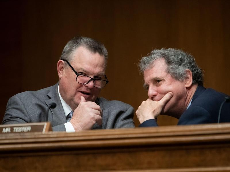 Brown and Tester