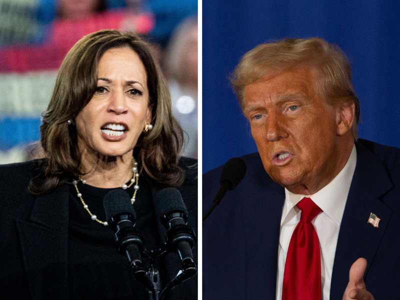 Trump Harris
