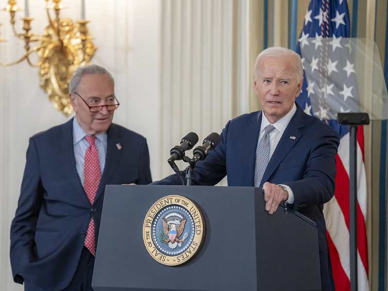 Schumer Election