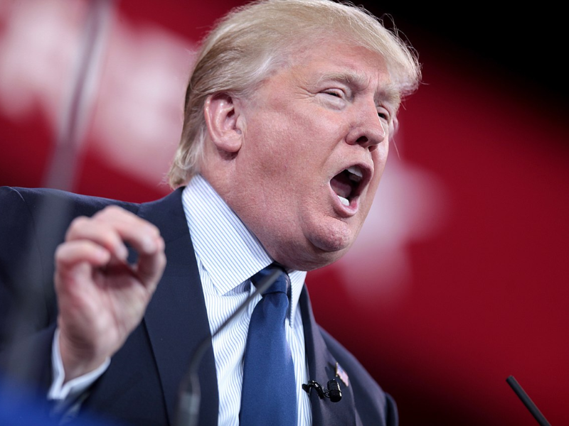 Trump 10 Years