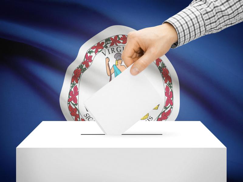 Person voting in front of Virginia state flag 