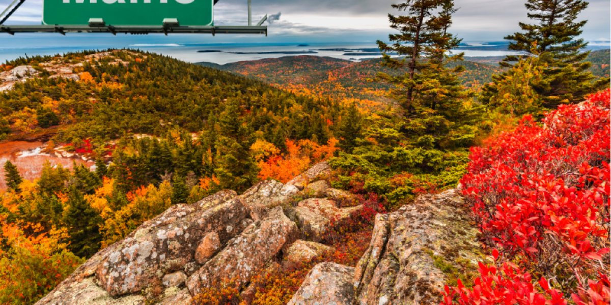A Generic Democrat Is No Guarantee in Maine